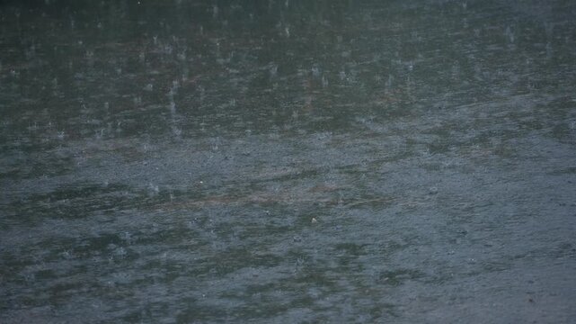 Heavy rainfall in West Bengal due to the Southwest Monsoon.