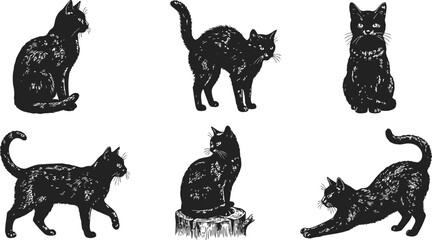 Vintage halloween engraving of playful black cats in various poses during a spooky night © Mahi Fattah