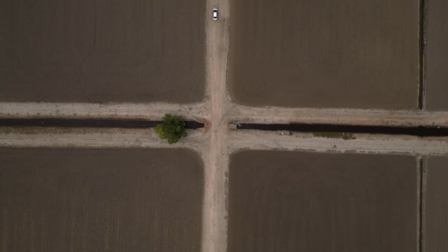 Car on long straight dirt road cutting through vast flat agricultural land under a clear sky. Person on road near a lone tree. Smooth aerial view drone camera pointing down