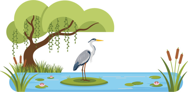 Wetland pond landscape with heron, willow tree and reeds vector illustration isolated on white background nature scene