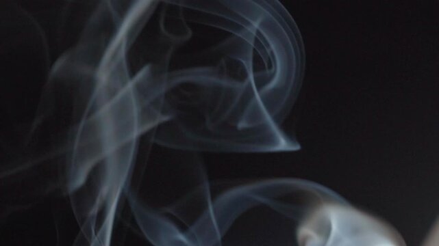 Close up of abstract white incense smoke swirling and flowing against black background creating elegant organic patterns. Atmospheric motion ideal for backgrounds and creative projects