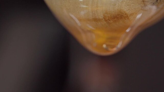 Macro closeup of a honey droplet forming on a wooden honey dipper before falling. Thick golden honey slowly gathers at the tip, revealing its smooth texture and natural viscosity