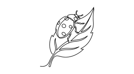 Continuous one line drawing of a ladybug on a leaf. © heri