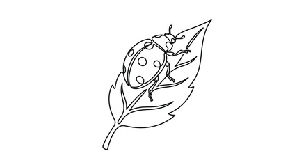 Continuous line art of a ladybug resting on a leaf. © heri