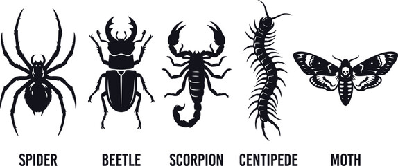 Insect Silhouettes Spider Beetle Scorpion Centipede And Moth © TangemTalukder