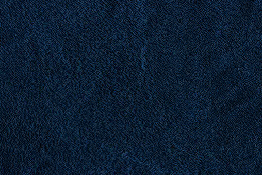 High-quality dark navy blue real leather texture large background
