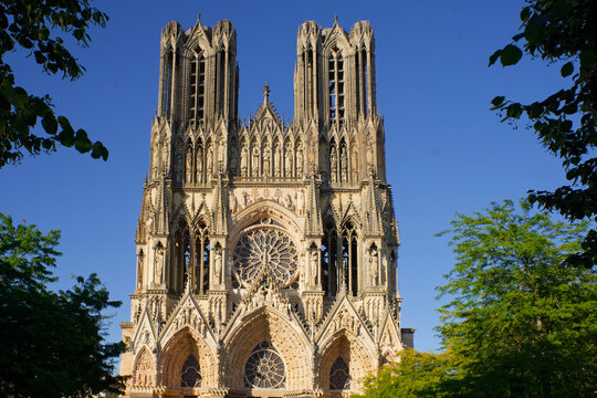 Facade of the famous cathedral of Reims in France surrounded by trees at the end of the day. Here, the kings of France were crowned.