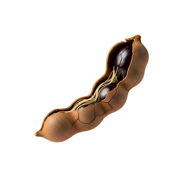 Fresh Ripe Tamarind Fruit with Cracked Pod Shell and Seeds Isolated on a Solid Transparent Background