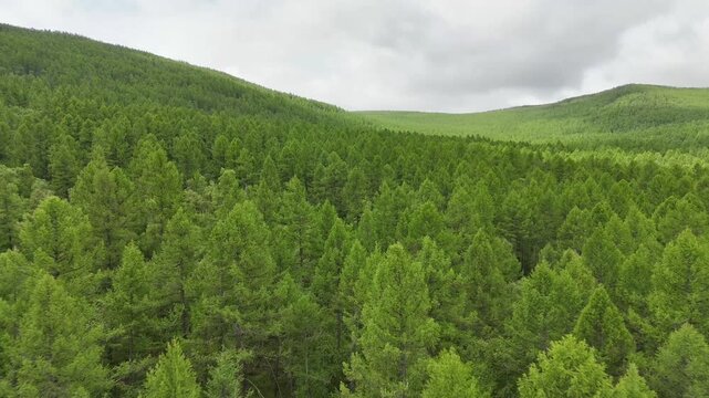테를지, 국립공원, 몽골, 대자연, 숲, 풍경, 산, 나무, Terelj, Mongolia, Great Outdoors, Forest, Landscape, Mountains