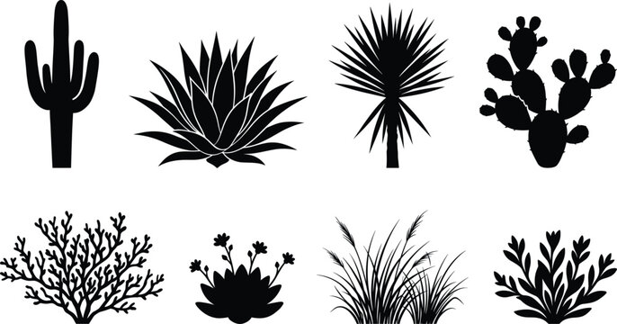 Set of professional desert plant silhouettes including saguaro cactus agave yucca prickly pear and desert grass vector icons