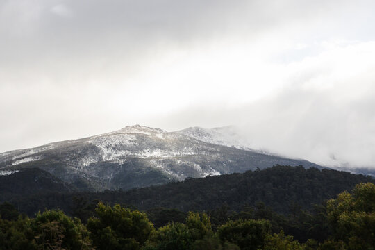 snow covered tasmanian mountains surrounded by native australian vegetation