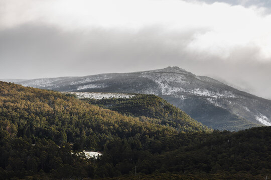 snow covered tasmanian mountains surrounded by native australian vegetation