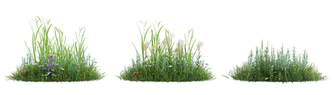 High quality realistic green grass patches with wildflowers isolated on transparent background 3d rendering png