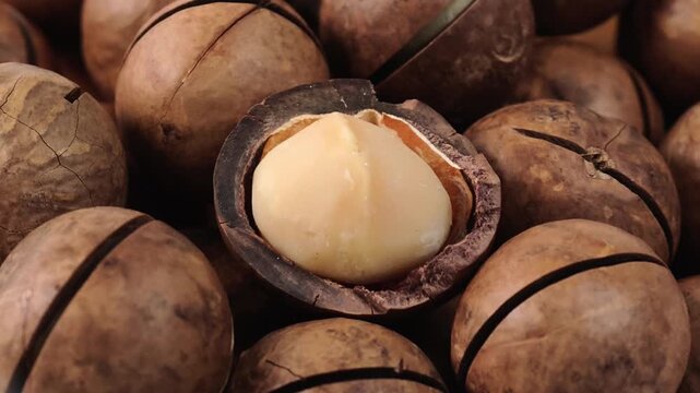 Close-Up of Roasted Macadamia Nuts