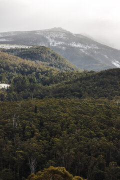 snow covered tasmanian mountains surrounded by native australian vegetation
