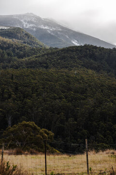 snow covered tasmanian mountains surrounded by native australian vegetation
