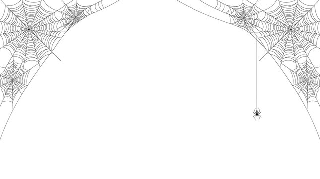 Spider web corner frame with hanging spider isolated on white background