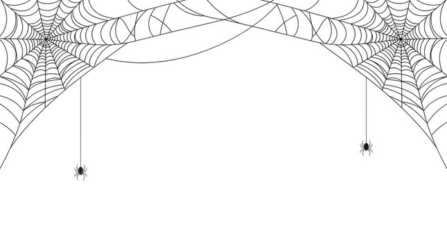Spooky spider web corner border