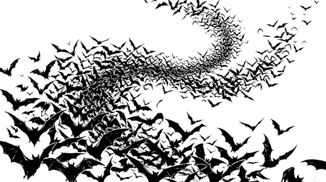 Swarm of bats flying in a swirling pattern isolated on white background
