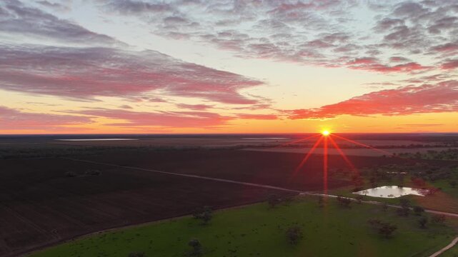 Aerial video flying over the Pilliga landscape at sunset in NSW, Australia. Warm golden light illuminates the expansive bushland and rural landscape