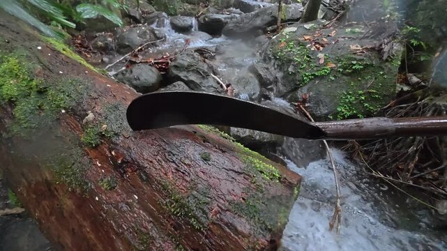 Bushcraft scene featuring a machete used in a tropical rainforest.