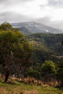 snow covered tasmanian mountains surrounded by native australian vegetation