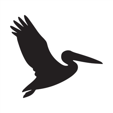 Silhouette pelican bird flying in black vector illustration