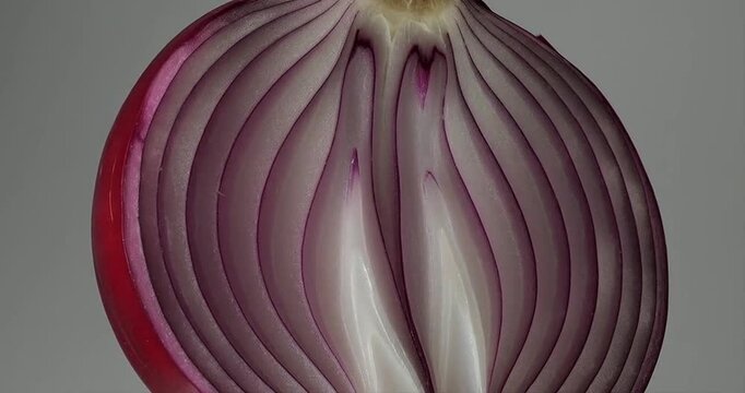 Red onion slice cross section organic vegetable macro