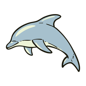 Dolphin Sea Animal Illustration