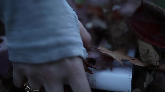A woman&rsquo;s hand reaches through autumn leaves to pick up a rolled scroll in soft, natural outdoor light. Intimate close-up footage highlights subtle textures and contemplative mood.