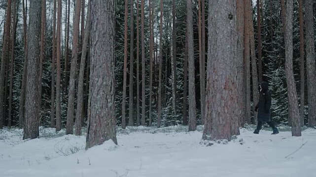 Side view of woman walking slowly through snowy pine forest in Ogres Ziliekalni