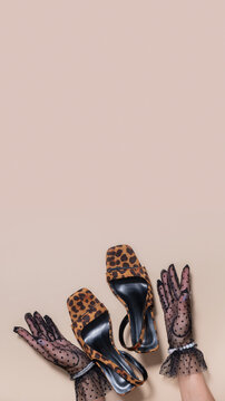Stylish leopard print shoes and black mesh gloves placed on a plain background for fashion display