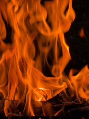 Fototapeta premium fire in the fireplace