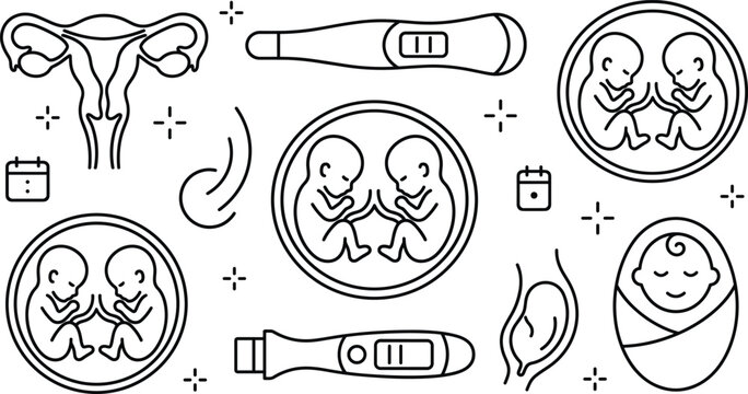 Twin pregnancy and gynecology line icon set featuring uterus anatomy positive test twins fetus development and newborn baby vector