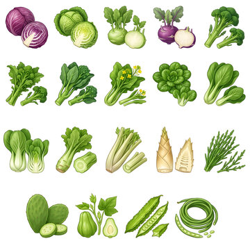 Vegetables vector illustration collection