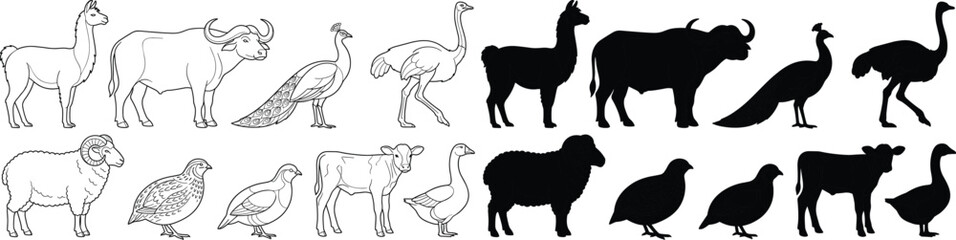 Collection of farm animals, exotic birds, and livestock outlines and solid black silhouettes vector illustration © MdSumon