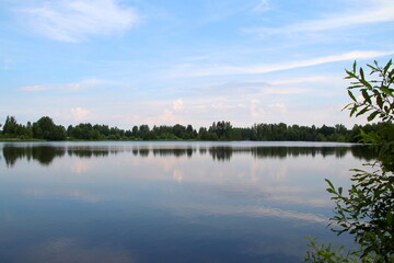 Obraz premium Beautiful summer landscape with a lake with clear water and trees growing nearby.
