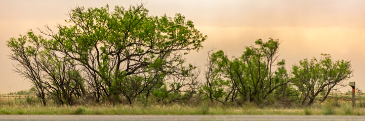 Fototapeta premium Impacts of Climate Change. El Niño, the environment, rising global temperatures. Pollution and devastating storms featuring tornadoes and strong winds. Uncontrolled weather. Web banner, copy space.