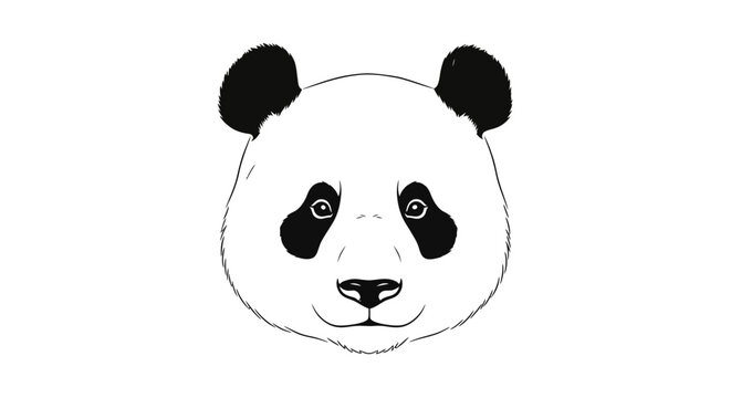 Frontal view line art sketch of a minimalist panda face on a plain white background