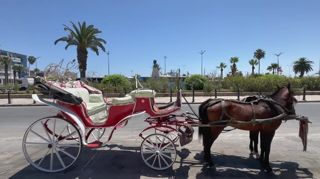 A bright red horse-drawn carriage stands parked by the roadside with palm trees lining the background on a clear sunny day. Sousse, Tunisia.
