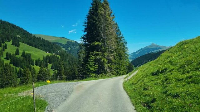 Passenger perspective descending the mountain road from Hahnenmoos towards Adelboden, Switzerland, revealing expansive alpine meadows, green pastures, and dramatic Bernese Alps scenery on a sunny day