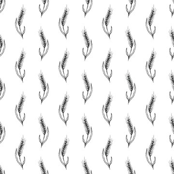 Seamless pattern with hand drawn cereal wheat oat rye barley rice ears spikelet Organic healthy food For decorative print, fabric, package, background