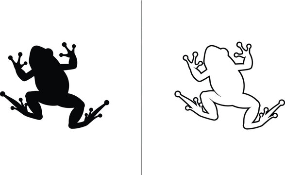 Frogs Vector Illustration in Black and White Featuring Frog, Graphic, Design with Isolated and Flat
