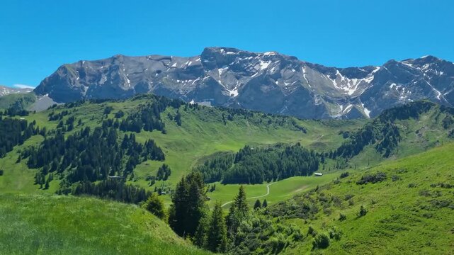 Panoramic view of the Bernese Oberland Alps in Switzerland, with snow-capped peaks, lush green meadows, and scenic summer hiking trails beneath a clear blue sky, breathtaking natural beauty