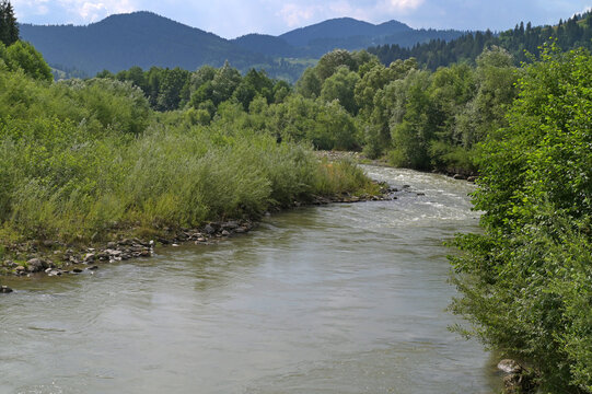 Mountain River Black Cheremosh fast flowing and rocky rapids, Carpathian region.