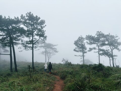 A couple walking on foggy hill (Created with RNI Films app. Profile 'Agfa Optima 200')