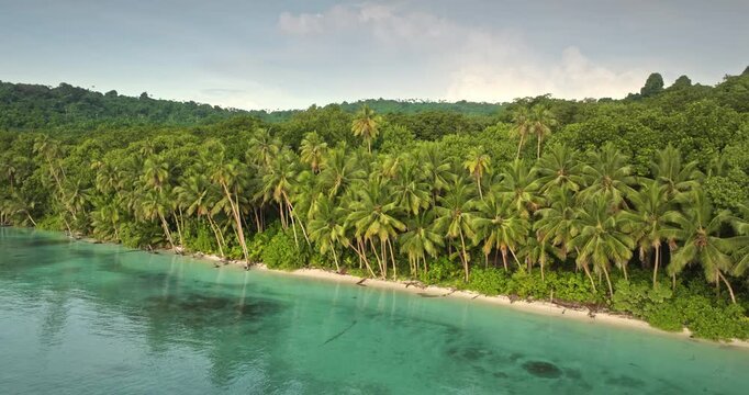 Turquoise ocean water gently washing white sand beach. Bordered by lush green jungle filled with vibrant palm trees. Showcasing a pristine tropical paradise in Tegua island in Torres Islands, Vanuatu