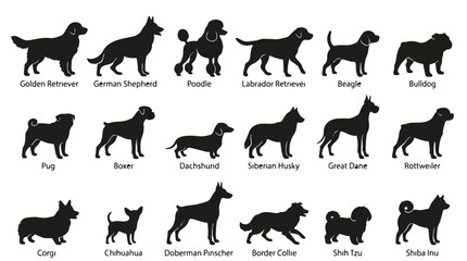 Obraz premium A set of 18 various dog breeds side view silhouette vector icon illustrations on a white background 
