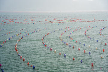 Colorful Floating Buoys Arranged in Rows on Sea Surface © Xianshu