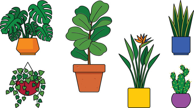 Potted house plants vector set featuring monstera fiddle leaf fig bird of paradise snake plant and cactus.